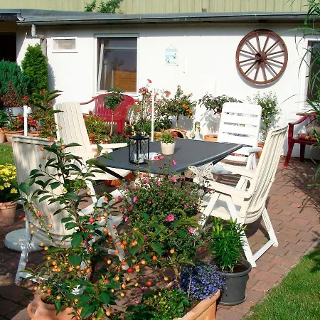Seeperle - Seepferdchen - #29747 Dahme (Schleswig-Holstein)