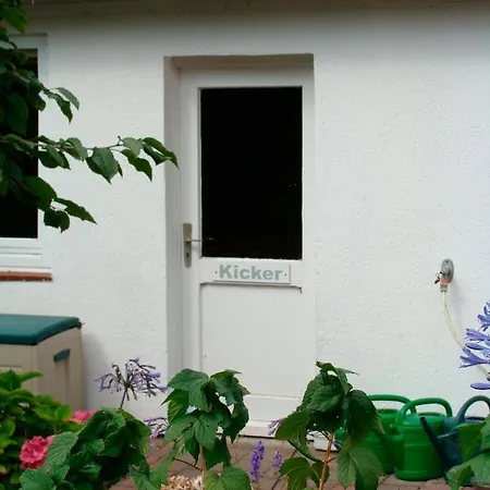 Seeperle - Seepferdchen - #29747